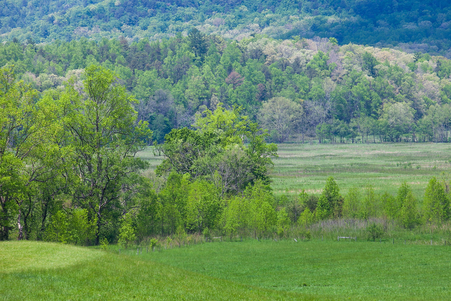 mt-juliet-panoramic-landscape-green-meadows-forests-great