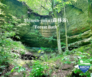 Forest bath